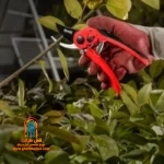 کاربر با قیچی RH-3106 یک شاخه ضخیم را به‌راحتی می‌برد
